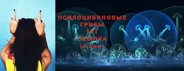 гашик Абаза