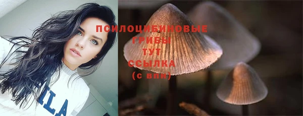 гашик Абаза
