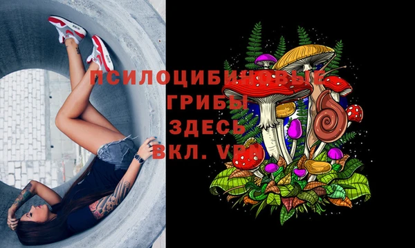 гашик Абаза