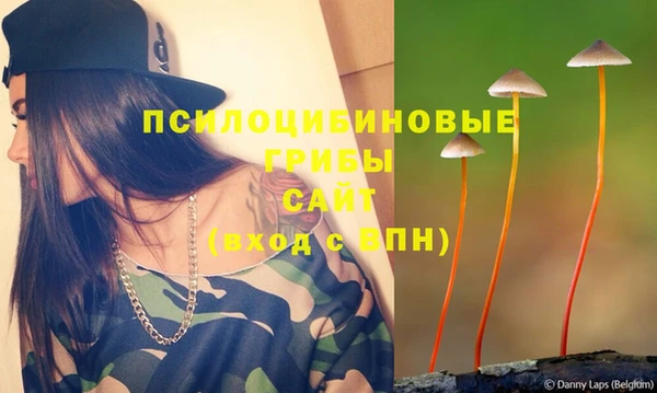 гашик Абаза
