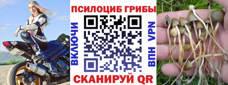 Галлюциногенные грибы Magic Shrooms  Гусиноозёрск 
