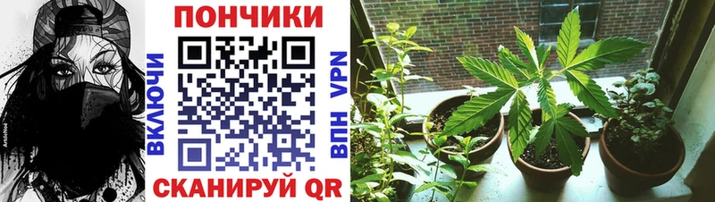 Канабис Ganja  Гусиноозёрск 
